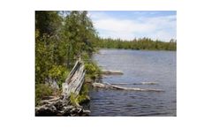 Ecological Services