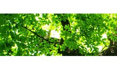 Environment Services