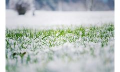 How to Adjust Hydroseed Application Based on Weather Conditions