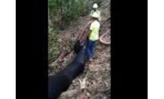 Finn Bark Blower Blowing Sock - Video