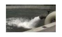 KLa Airlift Backflush in Operation - Video