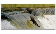 Environmental Services