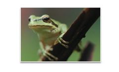 Environmental Science & Management Services