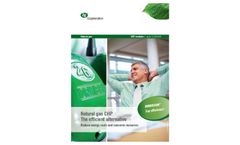 Natural Gas Brochure