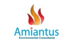 Asbestos Management and Risk Assessment