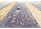 BioBag - Biodegradable Mulch Film