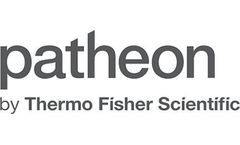 Fast, Flexible Cell Line Development Services