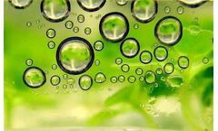 EDF breaks ground on 130-MW bioenergy facility in Corsica