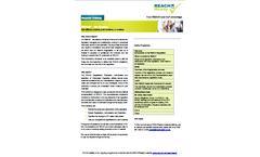 REACH - the Basics Course Outline