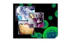 Mold Services