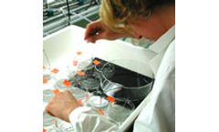 Ongoing Courses on Ecotoxicological Testing Training