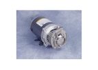MTH Pumps - Model T31 Series - Close-Coupled Regenerative Turbine Pumps