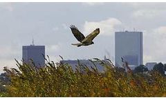 Environment Services