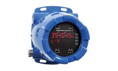 ProtEX-MAX - Model PD8-6001 - Feet & Inches Process Meter