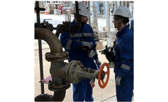 Process Consulting Services