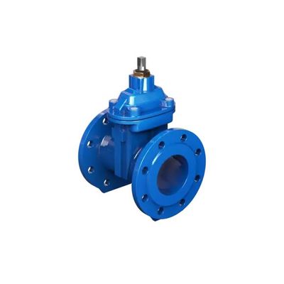 Düker Type 2024 and 4024 Gate Valve with Blow-Off Pipes