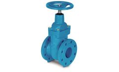 ERHARD - Model R14 - Wedge Gate Valve