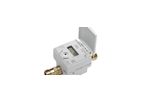 Diehl Metering - Measuring Devices for Water, Thermal Energy, Gas and Electricity