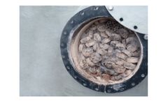 Biogascleans QSR - Biological Desulfurization Process System
