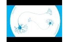 What Causes Parkinson`s? Video