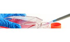 BDS CALUX - Tissue Culture Product