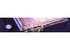 BDS CALUX - Bioassays