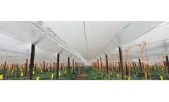 Sotrafa - Model DC - Antidrop High Transparency Double Cover