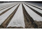 Sotrafilm - Model NT - Multiperforated Mulching Film