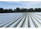 Sotrafilm - Model BN (Black/ White) - Multilayer Co-Extrusion Film
