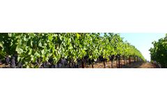 Southwestern - Vineyard Wire and Trellis Wire