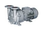 Nash - Model 2BV5 - Monoblock Liquid Ring Pump