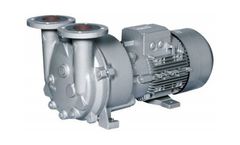 Nash - Model 2BV5 - Monoblock Liquid Ring Pump