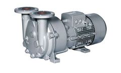 Gardner Denver Nash - Model 2BV5 - Small Capacity Liquid Ring Vacuum Monoblock Pump