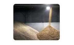 BriteBlast - White-Blast