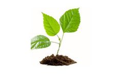 Environmental Services