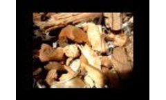 SDS 1200 in biomass facility