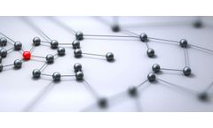 Newster - Market Development Support Services