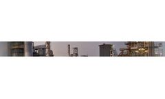 Revisions Services