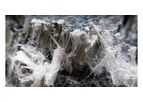 Asbestos Services