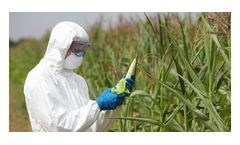 Food Testing Services