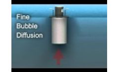 Fine Bubble Diffusion Device - Video