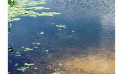 Contaminated Sites & Sediments Services