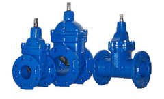 BAP - Model 13 - Gate Valve