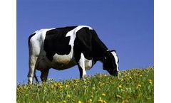 BWE - Farm Power Plant