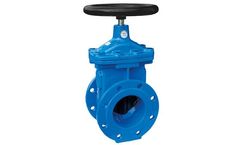 Portus - Model FS/ OS - Wedge Gate Valve