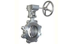 Delphi - Model LT Series - High Performance Butterfly Valve