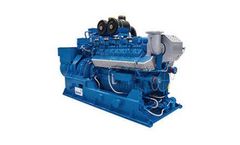 MWM - Model TCG 2016 - Gas Engine