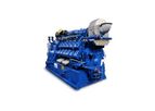 MWM - Model TCG 2020 - Gas Engine