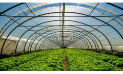 Magnosiet and Kieserite as fertilizers for agriculture