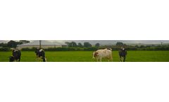 EnviFarm - Agricultural Biogas Plants